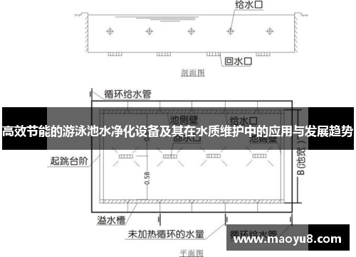 高效节能的游泳池水净化设备及其在水质维护中的应用与发展趋势